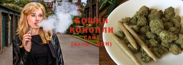 шишки Лагань