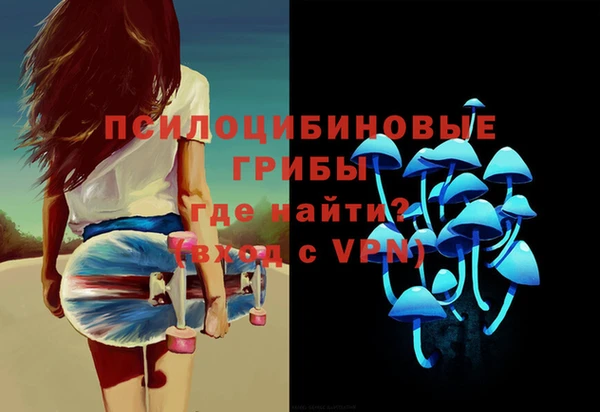 бошки Алзамай