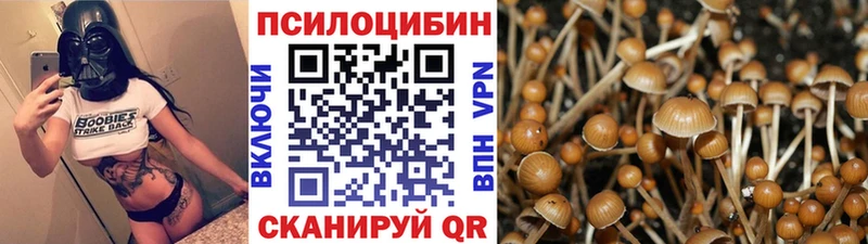 Галлюциногенные грибы прущие грибы  мега   Ермолино 